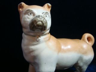 AN ANTIQUE STAFFORDSHIRE POTTERY ' PUG ',  STANDING DOG. 2