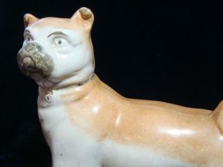 AN ANTIQUE STAFFORDSHIRE POTTERY ' PUG ',  STANDING DOG. 3