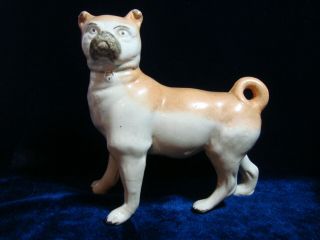 AN ANTIQUE STAFFORDSHIRE POTTERY ' PUG ',  STANDING DOG. 4