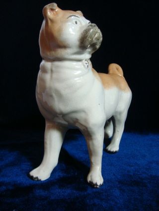 AN ANTIQUE STAFFORDSHIRE POTTERY ' PUG ',  STANDING DOG. 5