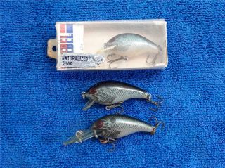3 Rebel R Crankbaits Teeny Shallow R,  Teeny Wee R,  And Little Suspended R