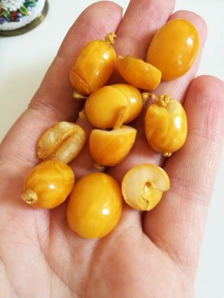 Broken Larger Antique Egg Yolk Amber Beads 10g