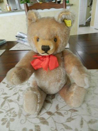 Vintage Steiff Teddy Bear With Ear Tag And Button 12 " 0202/36