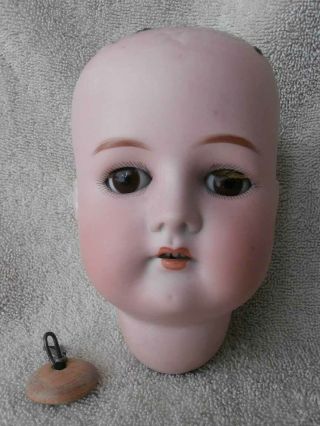 Sweet Face Antique German Cuno & Otto Dressel Bisque Doll Head 12 " Crcm