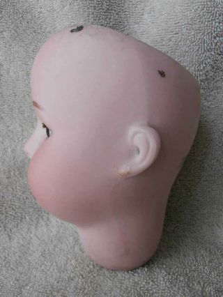 Sweet Face Antique German Cuno & Otto Dressel Bisque Doll Head 12 