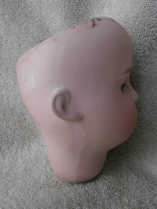 Sweet Face Antique German Cuno & Otto Dressel Bisque Doll Head 12 