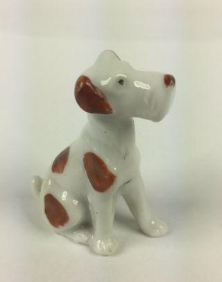 Antique German Porcelain Jack Russell Wire Fox Terrier White Brown Dog Germany