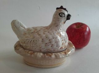 Antique Small Staffordshire Chicken / Hen On Her Nest,  Tureen Egg Holder