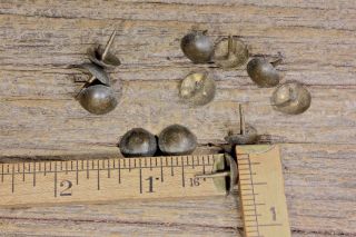 12 Old Solid Brass Tacks 7/16” Round Head 1800’s Vintage Upholstery Trunk Chest