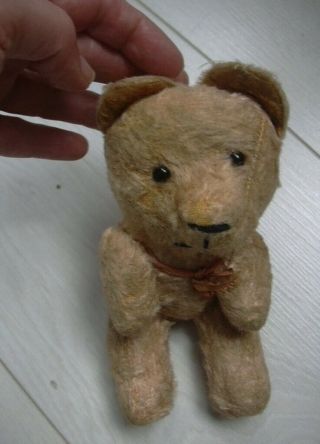 Steiff? Honey Brown Antique Teddy Bear