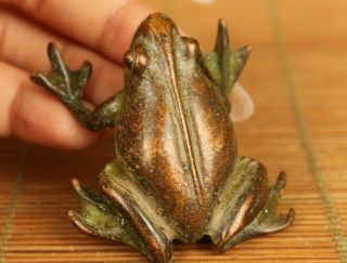 Chinese Bronze Hand Carved Fortune Frog Statue Collectable Art Table Ornament