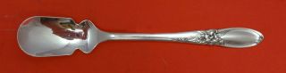 White Orchid By Community Plate Silverplate Horseradish Scoop Custom Made
