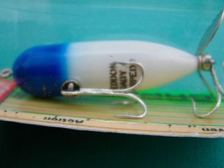 LIMITED HEDDON BABY TORPEDO - BLUE HEAD/WHITE BODY - UNFISHED IN PACKAGE 3
