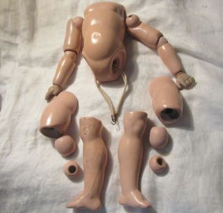 Antique Composition Doll Body Parts Repairs