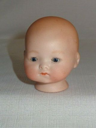 German Bisque Armand Marseille Am Dream Baby 341 Doll Head