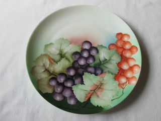 Antique Vienna Austria Hand Painted Porcelain Collector Plate W/grapes & Leaves