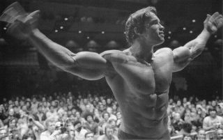 005 Arnold Schwarzenegger - Terminator Great Muscle Player 38 " X24 " Poster