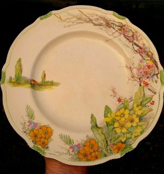 Antique Royal Winton Grimwades " Almond " Plate - Expressly For John Martin,  Adelaide
