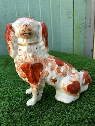 Mid 19th C.  Staffordshire Seated Russet Red & White Spaniel Dog C1850s