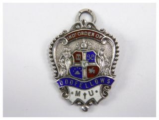 Antique Silver & Enamel Medal Independent Order Of Oddfellows Manchester Unity