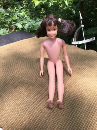 1963 Scooter Skipper’s Friend Barbie Doll,  Brunette & Freckles