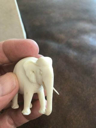 Small Vintage Old Antique Ivory Colored Hand Carved Japanese Chinese ? Elephant 4