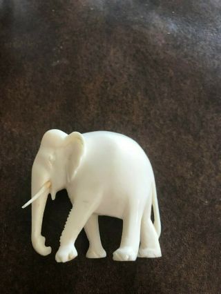 Small Vintage Old Antique Ivory Colored Hand Carved Japanese Chinese ? Elephant 5