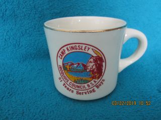 Vintage Boy Scout Cup,  Camp Kingslely,  Iroquois Council Bsa 51 Yr.  Serving Boys