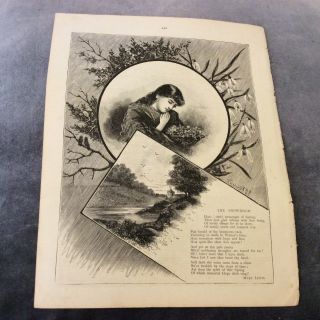 Antique Book Print - The Snowdrop - 1888