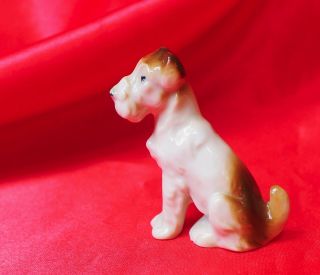 Antique German Porcelain Jack Russell Wire Fox Terrier Brown White Dog Germany