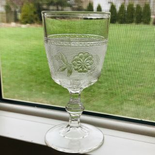 Antique Eapg Co - Op Flint Dahlia Wine Champagne Glass Stem 4 7/8 " Tall 1885