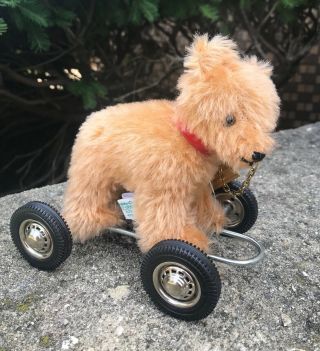 Vintage Hermann Bear On Wheels Pull Toy For P &e Rubin W Tags