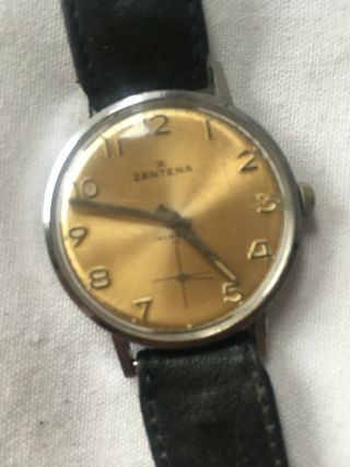 Zentena 17 Jewels Swiss Gents Vintage Watch With Sub Seconds,  Lovely Tropic Dial