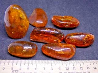 Antique Natural Baltic Amber Stone Toffee Amber 93g 老琥珀 波羅的海琥珀