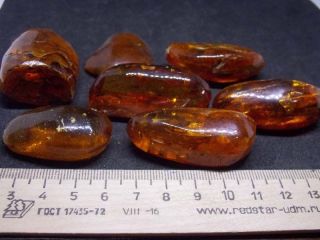 Antique natural Baltic amber stone toffee amber 93g 老琥珀 波羅的海琥珀 2