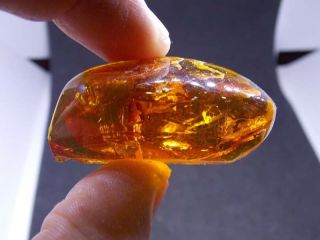 Antique natural Baltic amber stone toffee amber 93g 老琥珀 波羅的海琥珀 4