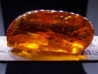Antique natural Baltic amber stone toffee amber 93g 老琥珀 波羅的海琥珀 6