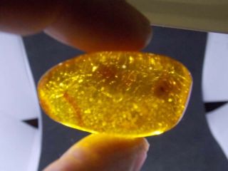 Antique natural Baltic amber stone toffee amber 93g 老琥珀 波羅的海琥珀 7