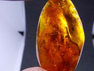 Antique natural Baltic amber stone toffee amber 93g 老琥珀 波羅的海琥珀 8