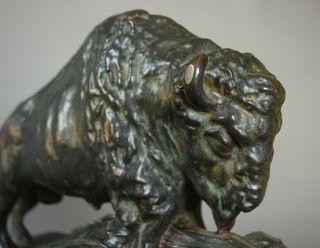 Exquisite Bronze Clad Arts & Crafts BUFFALO BISON Book Ends Early 1900s 7