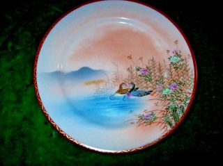 - Hand Painted Japanese Plate - Ducks & Flora,  On Blush Pink & Pale Blue