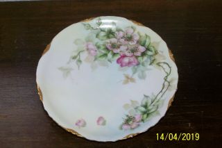 Antique Rosenthal Bavaria Porcelain 8 " Plate - Hand Painted & Signed