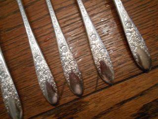 8 National Silver Co 1937 ROSE & LEAF Pattern Iced Tea Spoons Silverplate 3