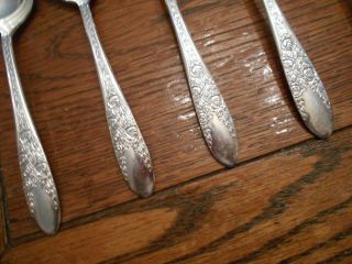 8 National Silver Co.  1937 ROSE & LEAF Round Gumbo Soup Spoons Silverplate 3