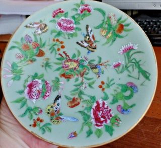 19th C Chinese Celadon Famille Rose Canton Plate Butterflies Roses & Birds B