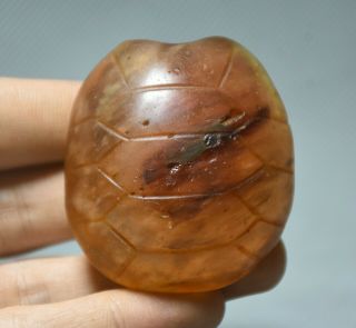 2 " Old China Hongshan Culture Red Crystal Carved Turtle Shell Pendant Amulet