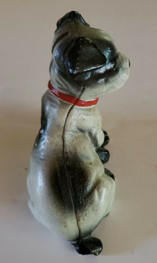 Adorable Antique/Vintage Cast Iron Still Bank Boston Terrier Sitting 4.  5 