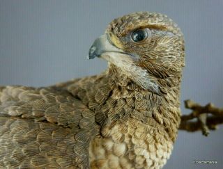 Country Artists Buzzard Figurine - Bird Of Prey - Hawk