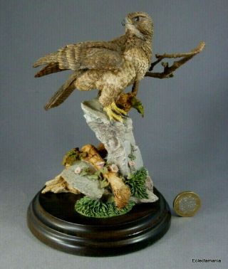 Country Artists BUZZARD Figurine - Bird of Prey - Hawk 2