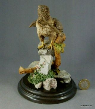 Country Artists BUZZARD Figurine - Bird of Prey - Hawk 3
